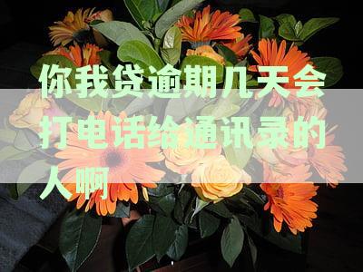 你我贷逾期几天会打电话给通讯录的人啊