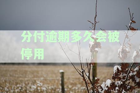 分付逾期多久会被停用