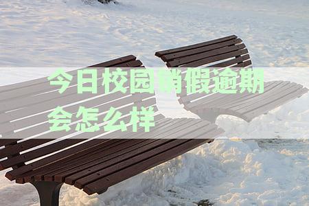 校园销假逾期后续：导员能否查看销假情况？