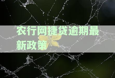 应对农行网捷贷到期还款压力：解决策略详解