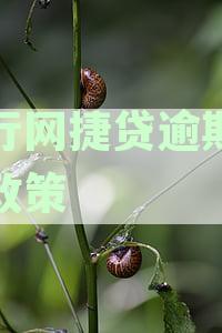 掌握这60个月，农行网捷贷让您轻松借款