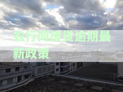 农行网捷贷用户可选期还款服务详情解读