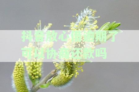 详解网贷逾期协商期还款的步骤与技巧