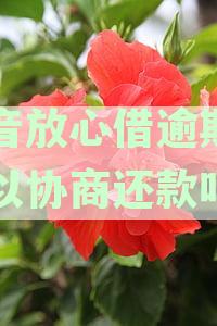 抖音放心借逾期协商热线：解决还款问题，您的贴心助手