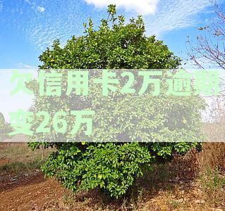 信用卡欠款逾期未还，为何突增至26万？