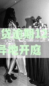 如何应对网贷逾期导致的异地开庭：12368诉讼攻略