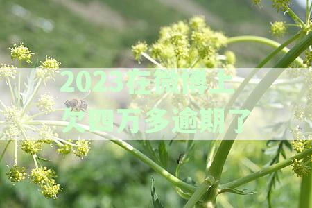 在微博上欠两万多逾期200多天会怎样,会坐牢吗？