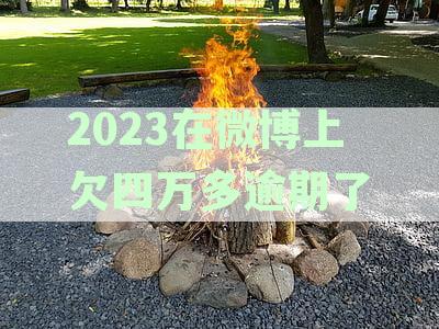 微博借钱逾期四天影响与解决方法
