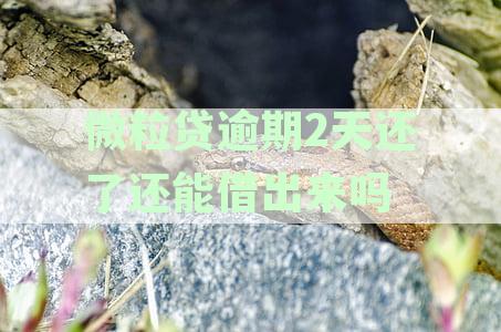 微粒贷逾期还款后能否再次借款