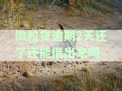 微粒贷逾期2天还了还能借出来吗