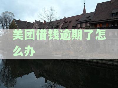 应对美团借钱逾期：催收律师能否提供帮助？