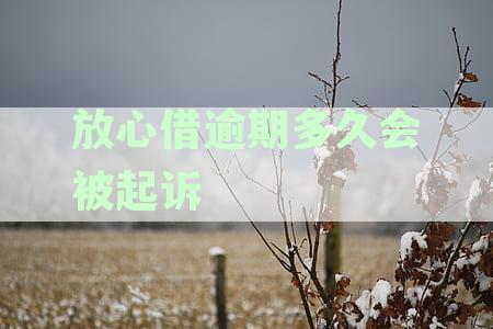 放心借逾期多久会上征信：逾期记录与黑名单解析
