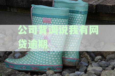 男子因网贷纠纷被公司解雇，揭示互联网借贷风险与职场诚信边界