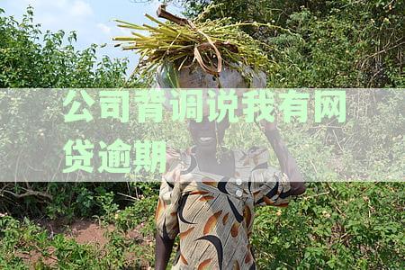 公司背调称我有网贷逾期，如何处理？