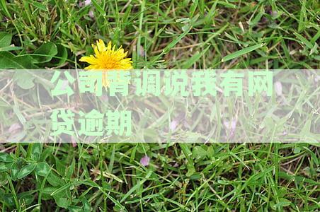 公司背景调查发现网贷记录应如何处理
