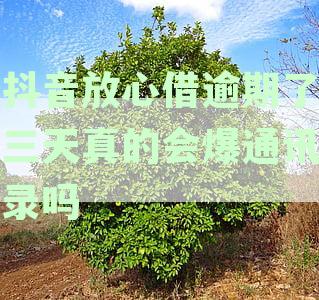 揭秘抖音放心借：为何爆通讯录成热议话题？