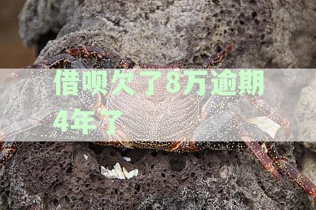 借呗欠了8万逾期4年影响