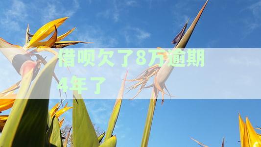 借呗欠了8万逾期4年了
