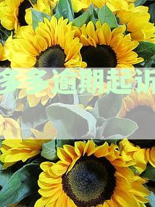 桔多多借款逾期怎么办-桔多多借款逾期怎么办,和平台协商还款