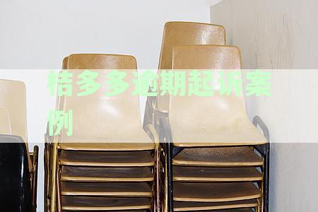 桔多多逾期起诉案例