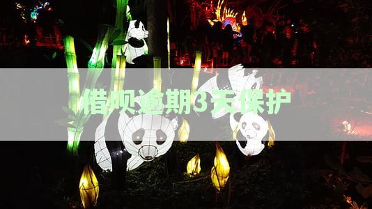 借呗逾期3天保护期内怎么还款-借呗逾期3天保护期内怎么还款呢