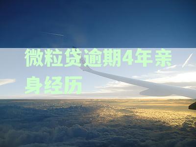 微粒贷逾期很久了怎么办-微粒贷逾期很久了怎么办?
