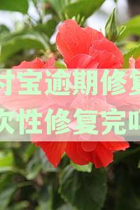 支付宝逾期修复一个月只能修复一次吗-支付宝逾期修复一个月只能修复一次吗?