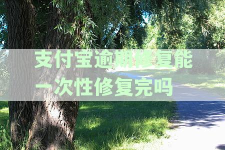 支付宝逾期修复能一次性修复完吗