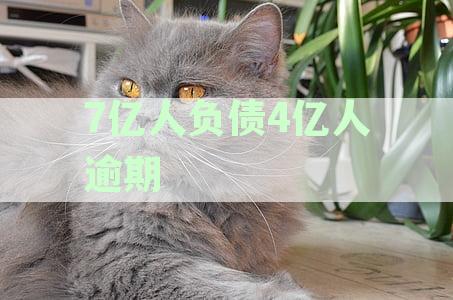 7亿人负债4亿人逾期是真的吗-7亿人负债4亿人逾期是真的吗吗