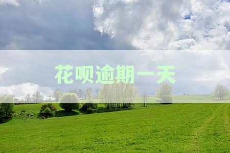 花呗逾期几天上征信吗花呗逾期有什么后果-花呗逾期几天上征信吗?