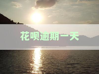花呗不小心逾期了1天,对征信有影响吗-花呗不小心逾期了1天,对征信有影响吗 知乎
