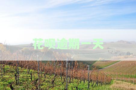 花呗忘记还逾期1天会怎么样-逾期多久会被列入失信人名单