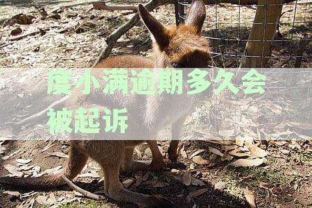 度小满逾期多久会被起诉,金额达到多少-度小满逾期多久会起诉2021