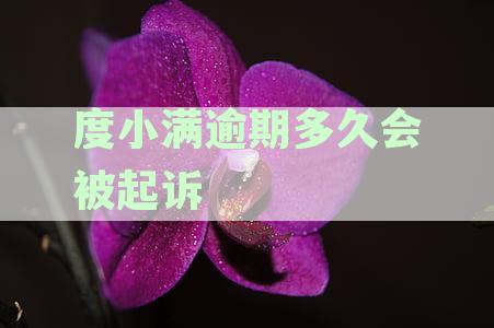 度小满逾期多久会被起诉会有什么后果-度小满逾期多久会起诉2021