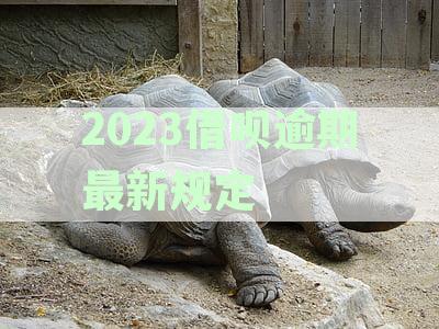 借呗逾期最新政策-借呗逾期最新政策2023规定