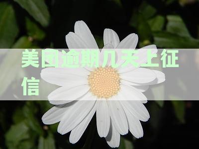 美团逾期几天上征信会不会影响信用卡降额-逾期多久会被列入失信人名单
