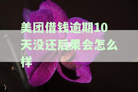 美团借钱逾期10天没还后果会怎么样会打紧急联系人吗-美团借钱逾期十天后会要求全额还款吗