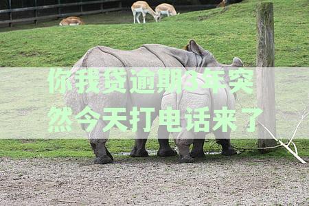 你我贷逾期两年了怎么突然又开始打电话了-你我贷逾期两年了怎么突然又开始打电话了呢