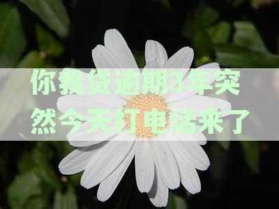 你我贷逾期几年了突然今天又在催收-你我贷逾期几年了突然今天又在催收了