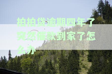 拍拍贷逾期4年了,偶尔还是会有催收电话,怎么办-拍拍贷逾期4年了,偶尔还是会有催收电话,怎么办