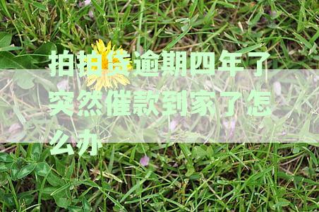 拍拍贷逾期四年了突然催款到家了怎么办