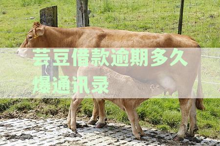 芸豆借款不还会怎样-已下架的网贷钱没还怎么办