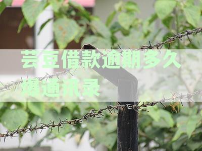芸豆借款怎么协商还款-芸豆借款爆我通讯录怎么办