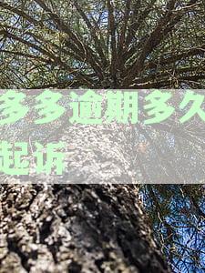 桔多多逾期多久会被起诉