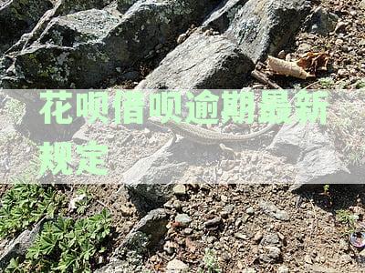 花呗借呗逾期最新规定还款-花呗借呗逾期最新规定还款时间