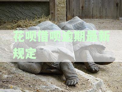 花呗借呗逾期上征信吗花呗逾期有什么后果-花呗借呗逾期上征信吗?花呗逾期有什么后果