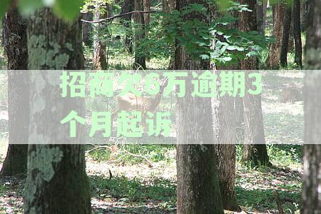招商欠6万逾期3个月起诉多少钱-招商欠6万逾期3个月起诉多少钱呢