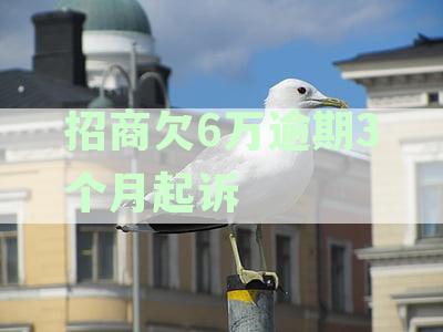 招商银行信用卡6万逾期3个月要起诉我怎么办-招商银行信用卡6万多逾期三个月要起诉我真的么