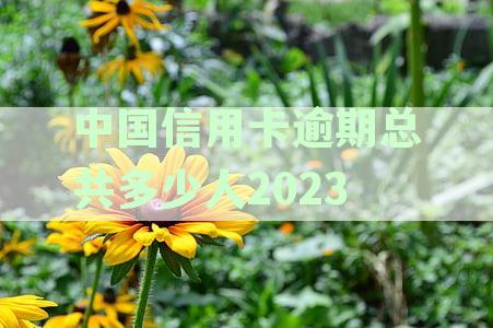 中国信用卡逾期总共多少人2023查询-现在全中国信用卡逾期有多少人