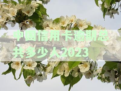 中国信用卡逾期总共多少人2022-中国信用卡逾期总共多少人2023